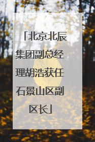 北京北辰集团副总经理胡浩获任石景山区副区长
